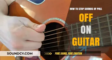 Silencing the Squeak: A Guide to Stopping Guitar String Noise