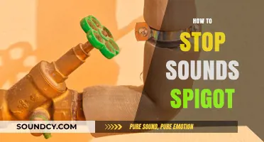 Effective Ways to Silence Annoying Sounds from Your Spigot