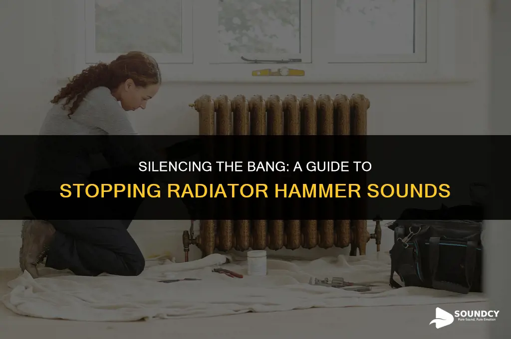 how to stop the hammer sound in my radiator