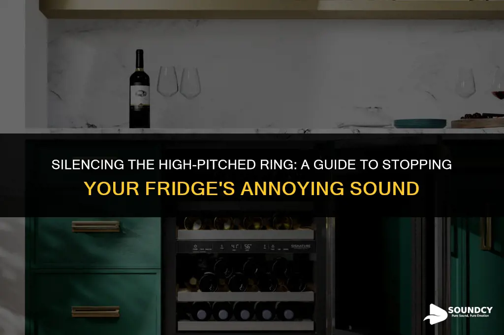 how to stop the high ringing sound from fridge
