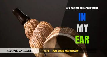 Silencing the Surf: How to Stop Ocean Sounds in Your Ear