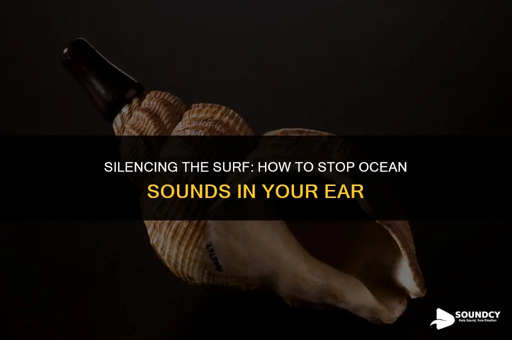 how to stop the ocean sound in my ear