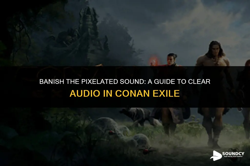 how to stop the pixelated sound in conan exile