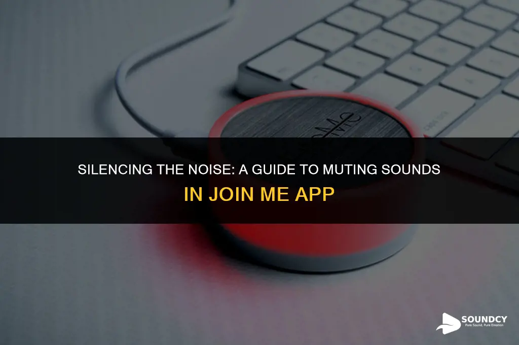 how to stop the sound in join me app