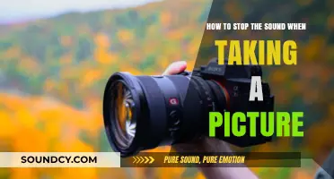 Silencing the Shutter: Tips to Stop Camera Sounds