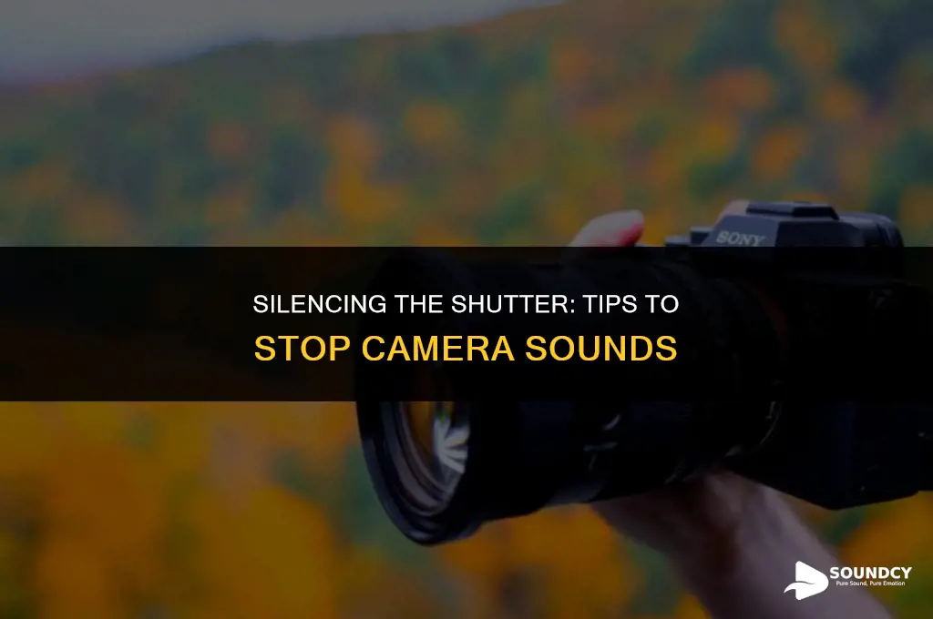 how to stop the sound when taking a picture