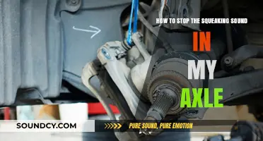 Silencing the Squeak: A Guide to Axle Maintenance