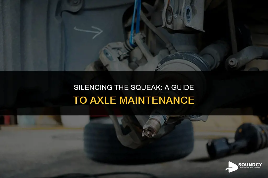 how to stop the squeaking sound in my axle