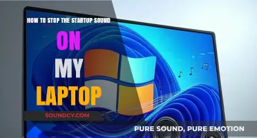 Silencing the Startup Symphony: A Guide to Quieting Your Laptop's Boot Chime