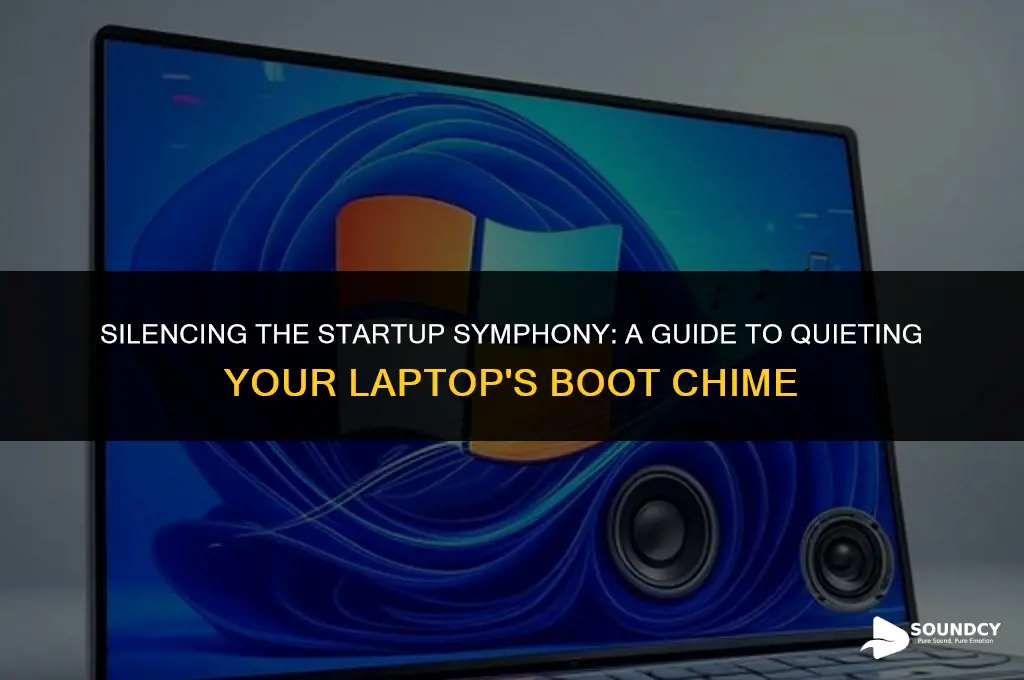 how to stop the startup sound on my laptop