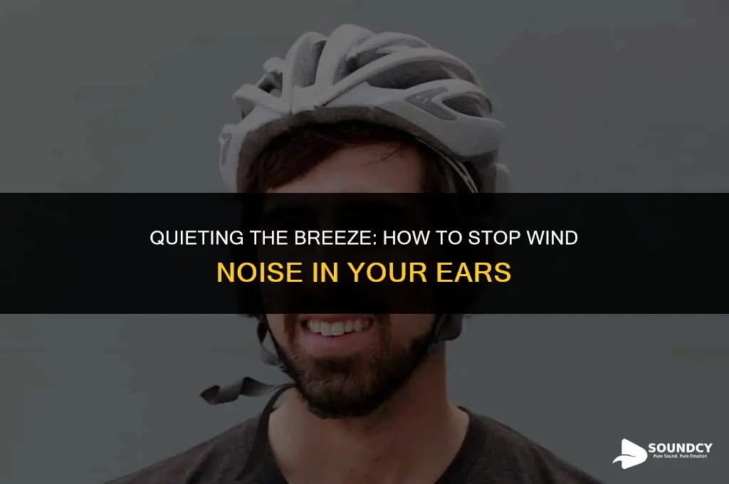 how to stop the wind sound in my ear