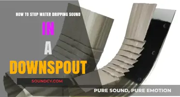 Silencing the Drip: A Guide to Quieting Your Downspout