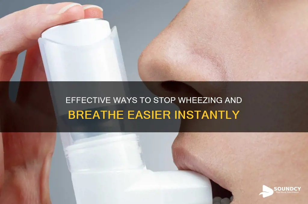 how to stop wheezing sound