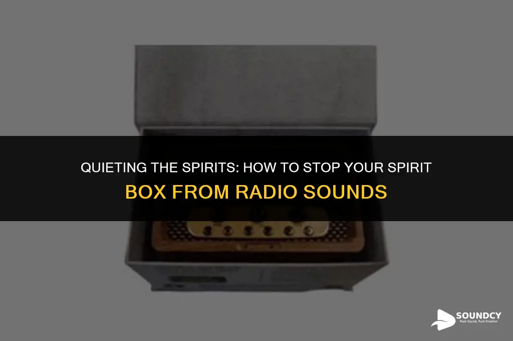 how to stop your spirit box from radio sounds