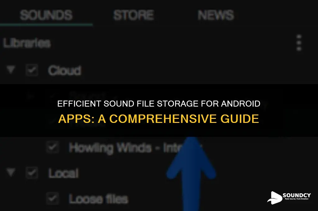 how to store sound files for an android application