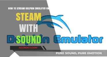 Streaming Dolphin Emulator on Steam with Sound: A Comprehensive Guide