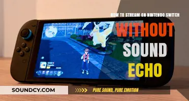 Echo-Free Streaming on Nintendo Switch: A Comprehensive Guide