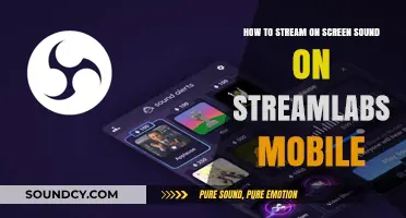 Streamlabs Mobile: Broadcasting Screen Audio Made Easy