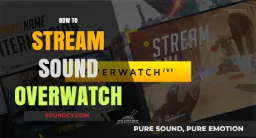 Master Overwatch Audio Streaming: Tips for Clear In-Game Sound