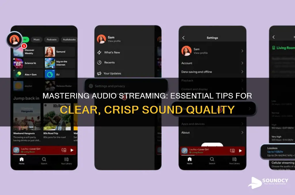 how to stream with sound