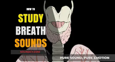 Mastering Auscultation: A Comprehensive Guide to Studying Breath Sounds
