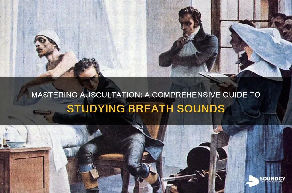 how to study breath sounds
