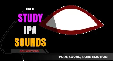 Mastering IPA Sounds: Effective Study Techniques for Accurate Pronunciation