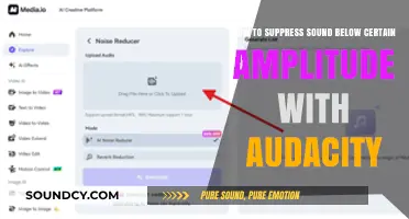 Mastering Audio Editing: Suppressing Low-Amplitude Sounds in Audacity