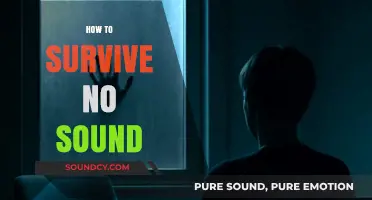 Surviving Silence: Practical Tips for Living Without Sound