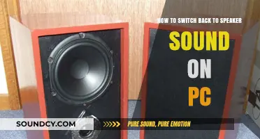 Reclaim Your Audio: A Guide to Restoring Speaker Sound on PC