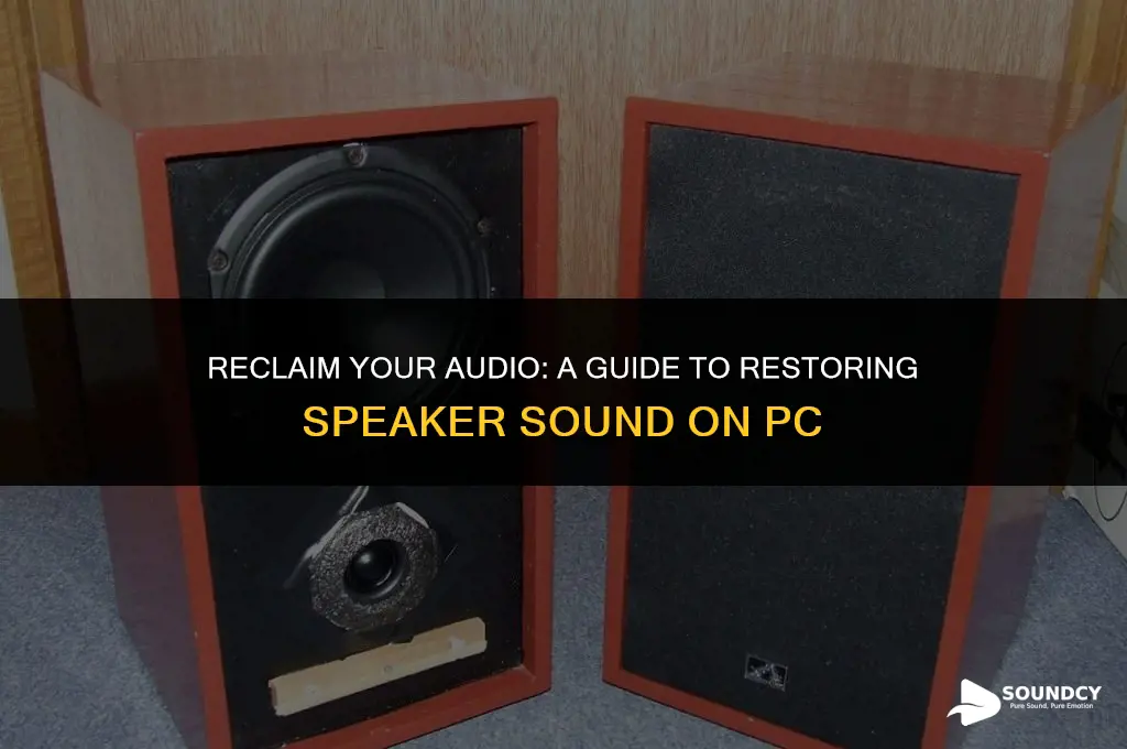 how to switch back to speaker sound on pc