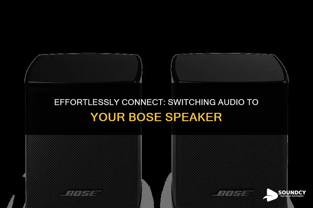 how to switch my sound to my bsoe speaker
