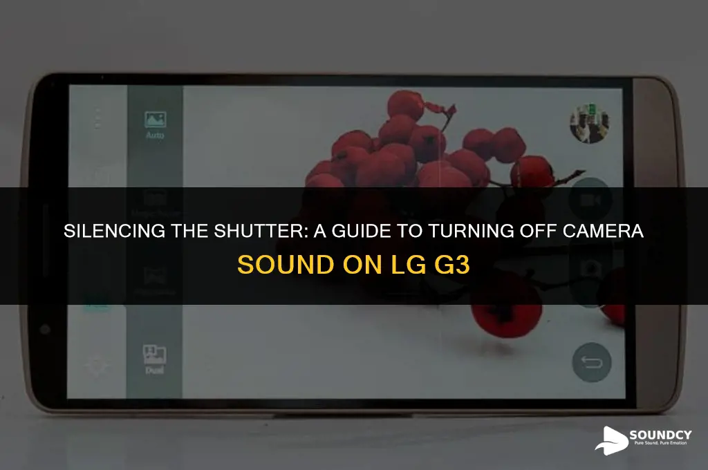 how to switch off camera sound in lg g3