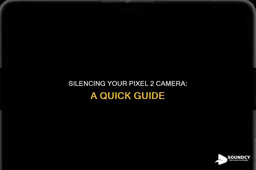 how to switch off camera sound in pixel 2