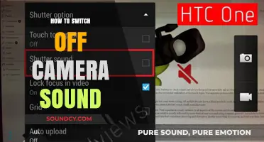 Switch Off Your Camera's Sound: Quick Guide