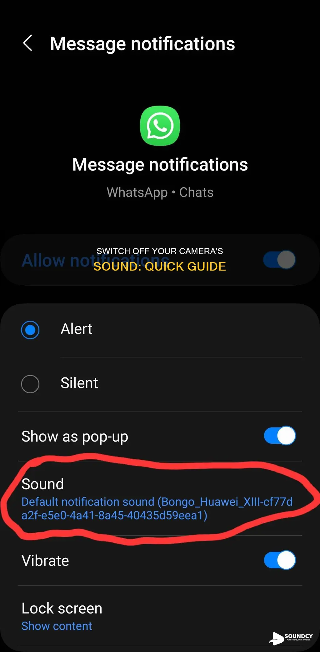 how to switch off camera sound