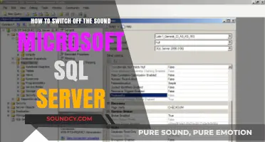Silencing SQL Server: A Step-by-Step Guide to Disabling Sound Notifications