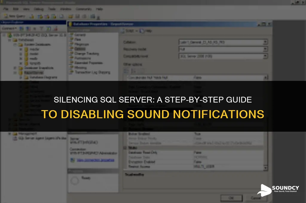 how to switch off the sound microsoft sql server