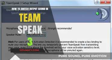 Mastering TeamSpeak 3: A Guide to Switching Output Sounds