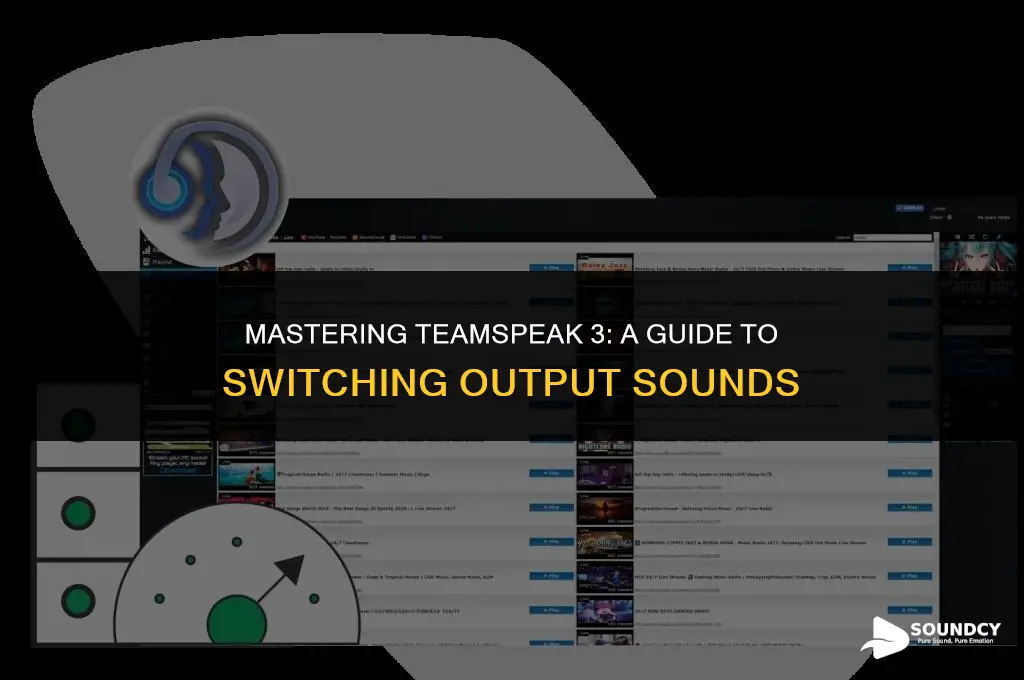 how to switch output sound in team speak 3