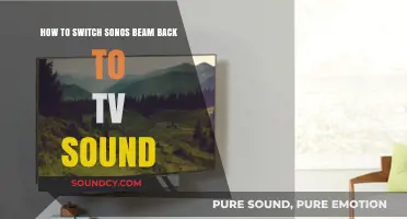 Reverting Sonos Beam Audio: A Guide to TV Sound Settings
