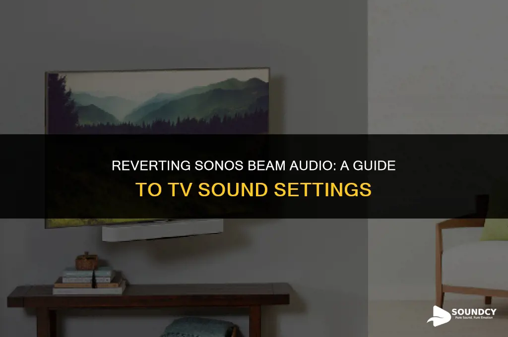 how to switch sonos beam back to tv sound