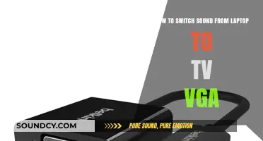 Seamless Audio Transfer: Laptop to TV via VGA Connection