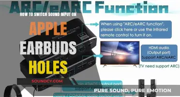 Quick Guide: Switching Sound Input on Apple Earbuds Holes