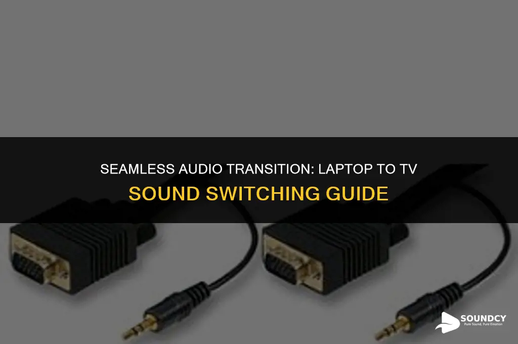 how to switch the sound from laptop to tv