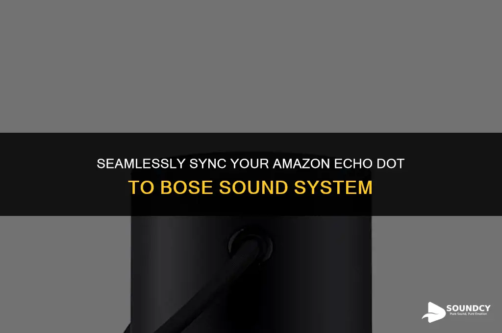 how to sync amazon echo dot to bose sound