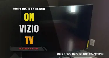 Mastering Lip Sync on Your Vizio TV: A Comprehensive Guide