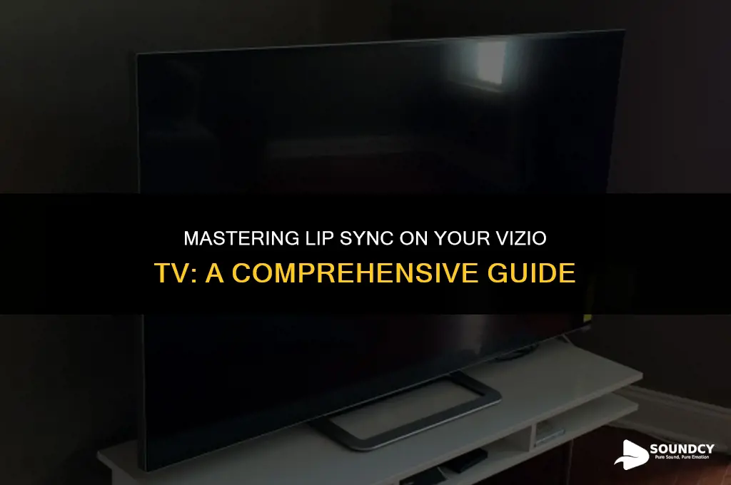 how to sync lips with sound on vizio tv