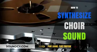 Mastering Choir Synthesis: Techniques for Creating Rich, Authentic Vocal Sounds