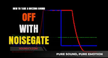 Silencing the Buzz: A Guide to Using Noise Gates Effectively